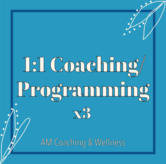 1:1 Coaching + programming (x3 day a week)